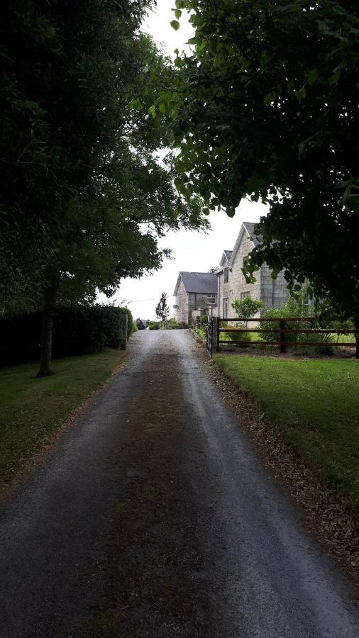 Lorum Old Rectory Bagenalstown Exteriör bild
