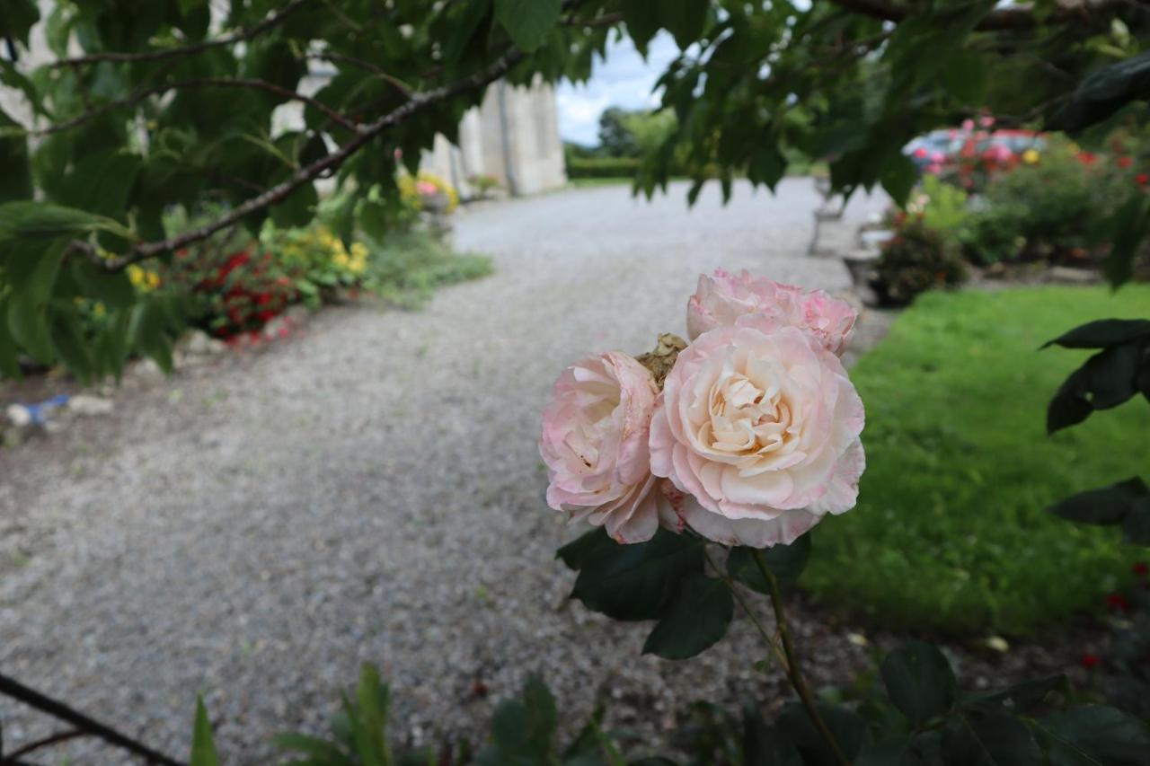 Lorum Old Rectory Bagenalstown Exteriör bild